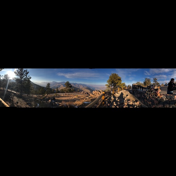 Meet your Posher, Bolee - Picture 2 of 2